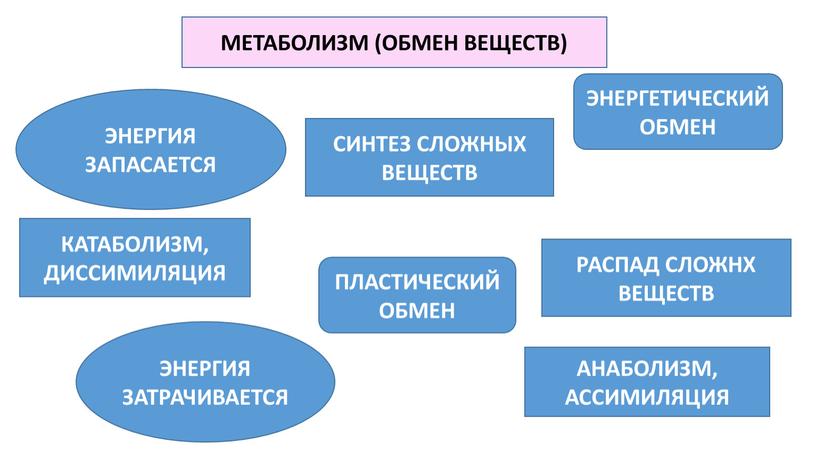 СИНТЕЗ СЛОЖНЫХ ВЕЩЕСТВ РАСПАД СЛОЖНХ