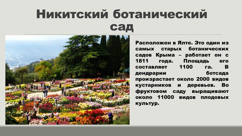 Никитский ботанический сад Расположен в