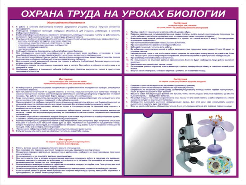 Охрана труда в образовательной организации