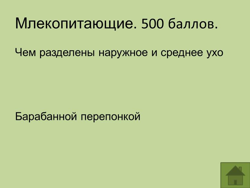 Млекопитающие. 500 баллов. Чем разделены наружное и среднее ухо