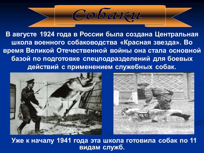 В августе 1924 года в России была создана