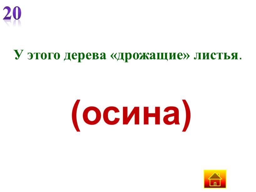 У этого дерева «дрожащие» листья