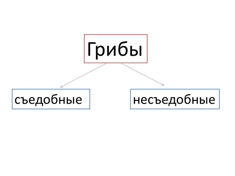 Грибы съедобные несъедобные