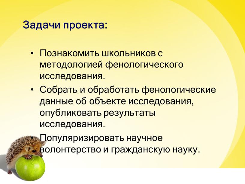 Задачи проекта: Познакомить школьников с методологией фенологического исследования