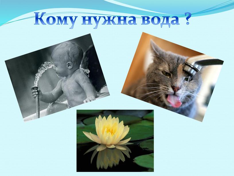 Кому нужна вода ?