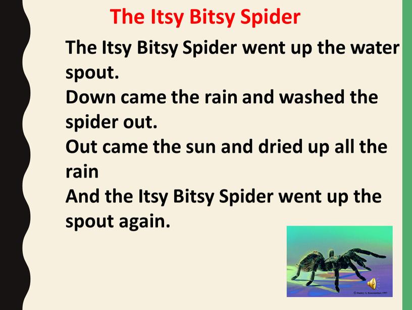 The Itsy Bitsy Spider The Itsy