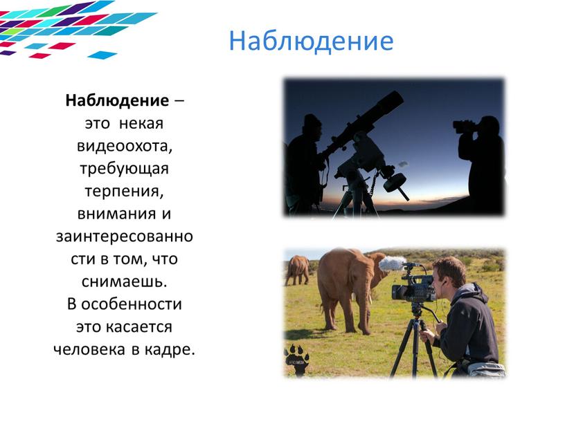 Наблюдение – это некая видеоохота, требующая терпения, внимания и заинтересованности в том, что снимаешь