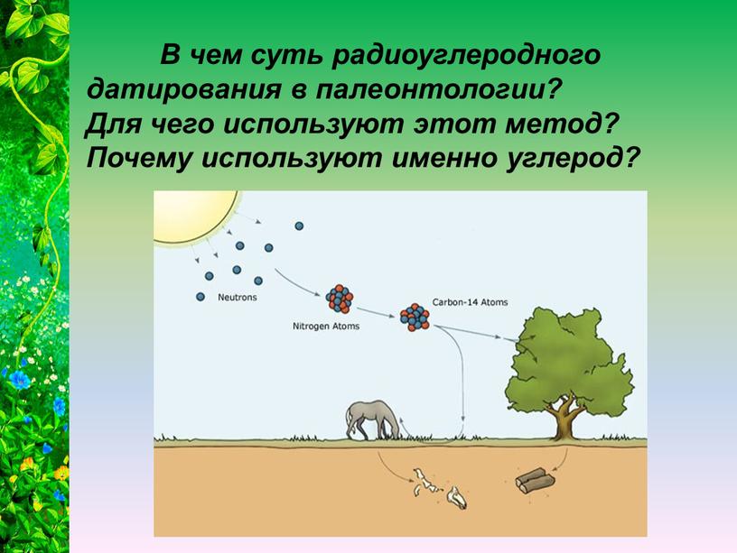 В чем суть радиоуглеродного датирования в палеонтологии?