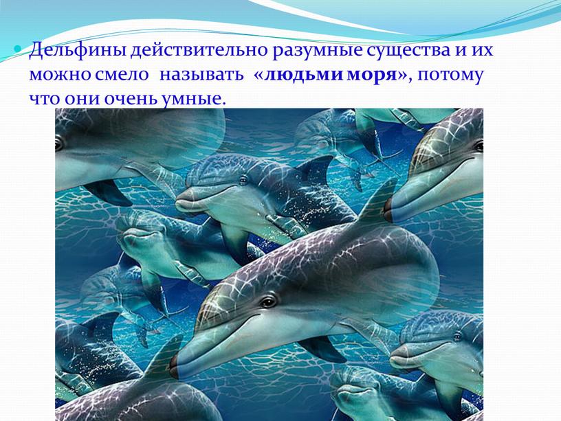 Дельфины действительно разумные существа и их можно смело называть «людьми моря» , потому что они очень умные