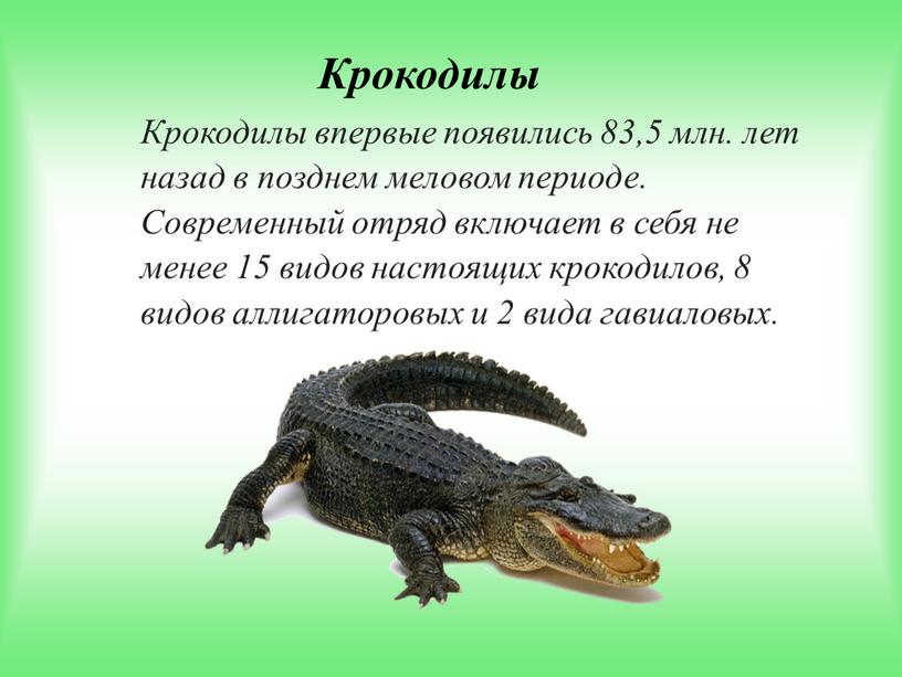 Крокодилы Крокодилы впервые появились 83,5 млн