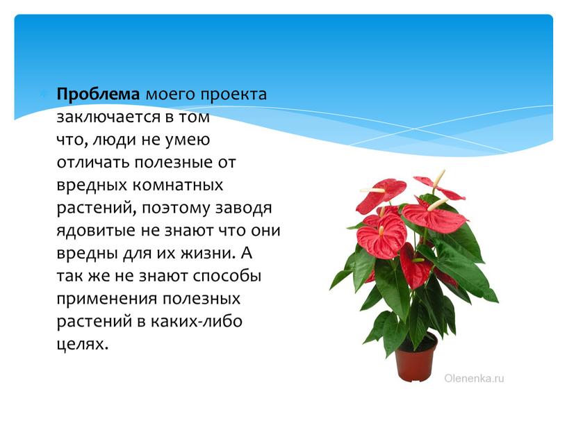 Проблема моего проекта заключается в том что, люди не умею отличать полезные от вредных комнатных растений, поэтому заводя ядовитые не знают что они вредны для…