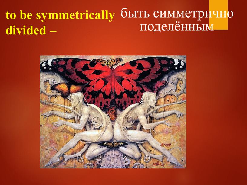 to be symmetrically divided – быть симметрично поделённым