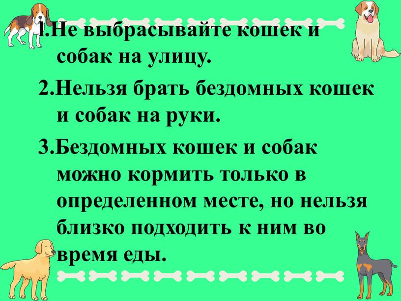 He выбрасывайте кошек и собак на улицу