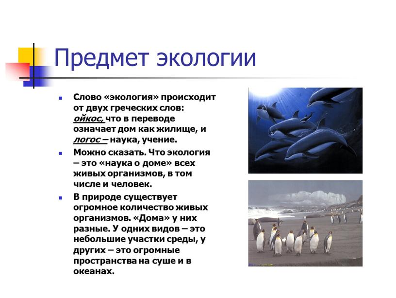 Предмет экологии Слово «экология» происходит от двух греческих слов: ойкос, что в переводе означает дом как жилище, и логос – наука, учение