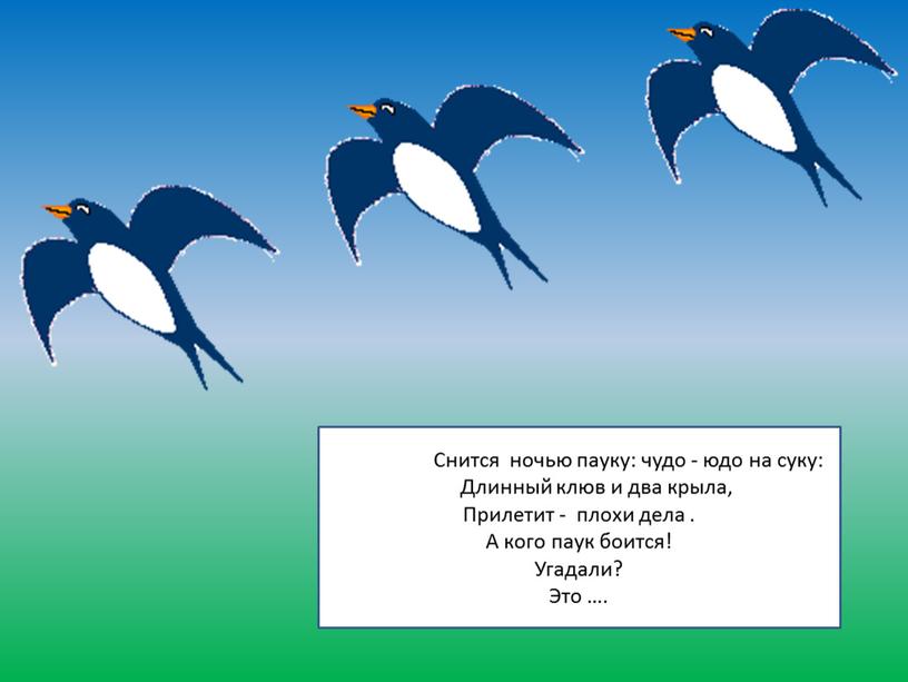 Снится но Снится ночью пауку: чудо - юдо на суку: