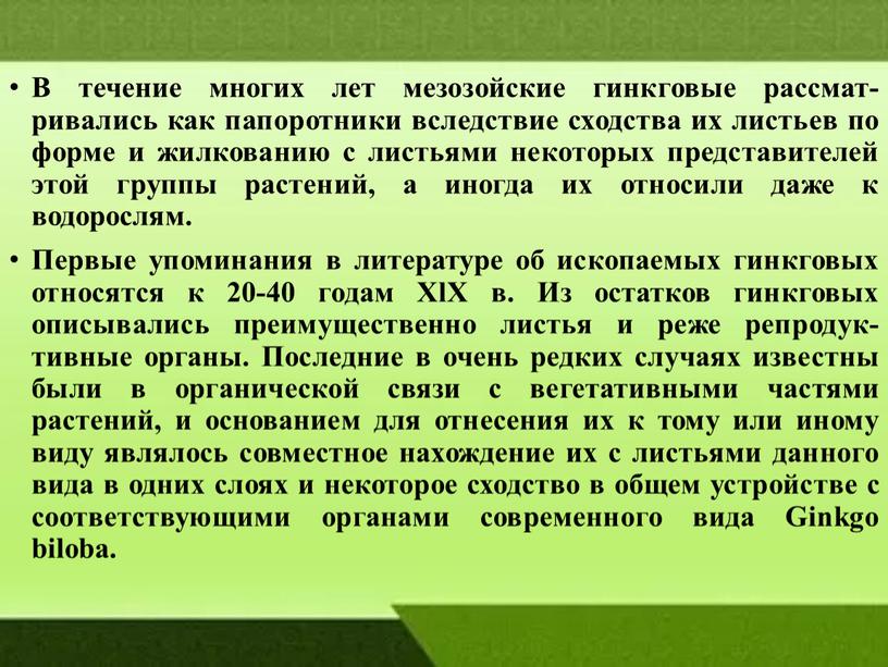 В течение многих лет мезозойские гинкговые рассмат-ривались как папоротники вследствие сходства их листьев по форме и жилкованию с листьями некоторых представителей этой группы растений, а…