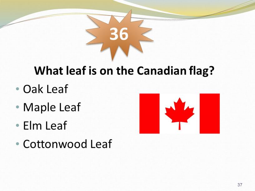 What leaf is on the Canadian flag?