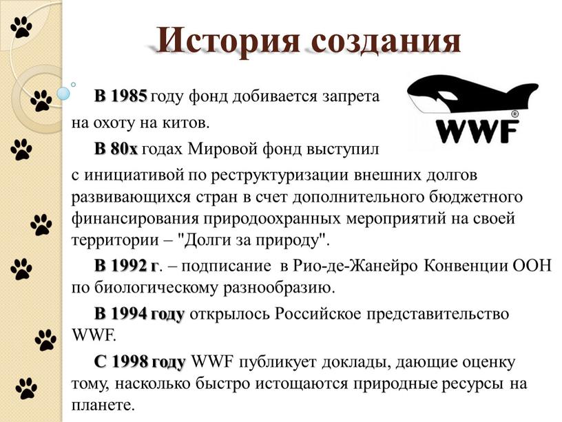 История создания В 1985 году фонд добивается запрета на охоту на китов