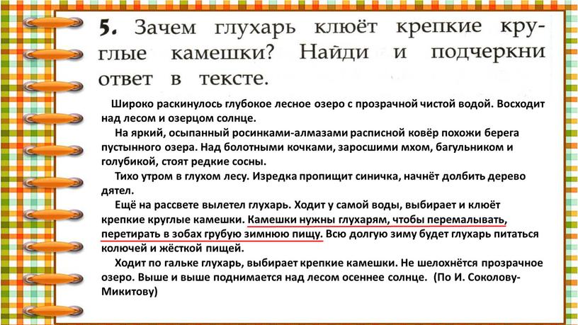 Широко раскинулось глубокое лесное озеро с прозрачной чистой водой