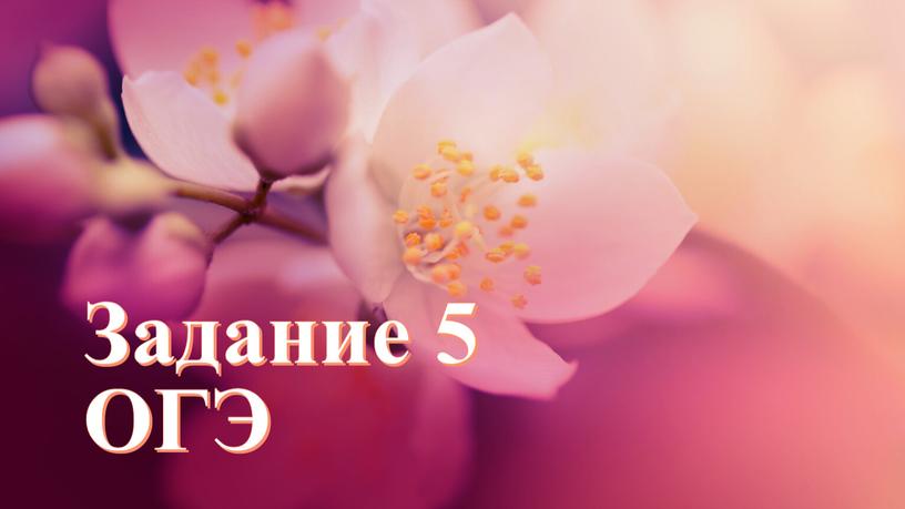 Задание 5 ОГЭ