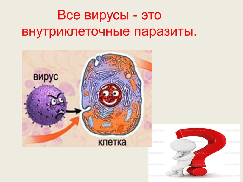 Все вирусы - это внутриклеточные паразиты