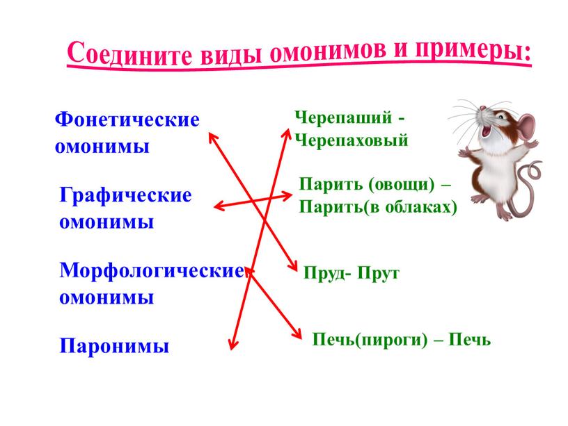 Соедините виды омонимов и примеры: