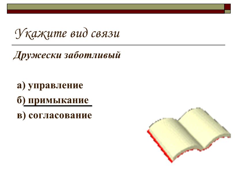 Укажите вид связи Дружески заботливый а) управление б) примыкание в) согласование