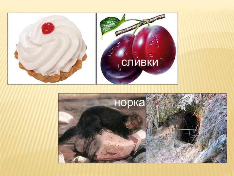 сливки норка