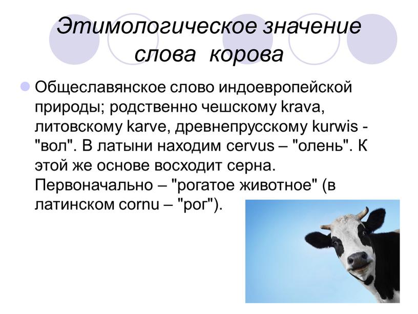 Что означает слово корова в этимологическом словаре