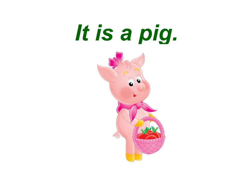 It is a pig.