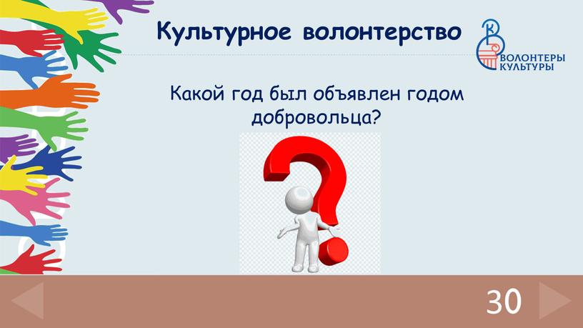 Какой год был объявлен годом добровольца? 30