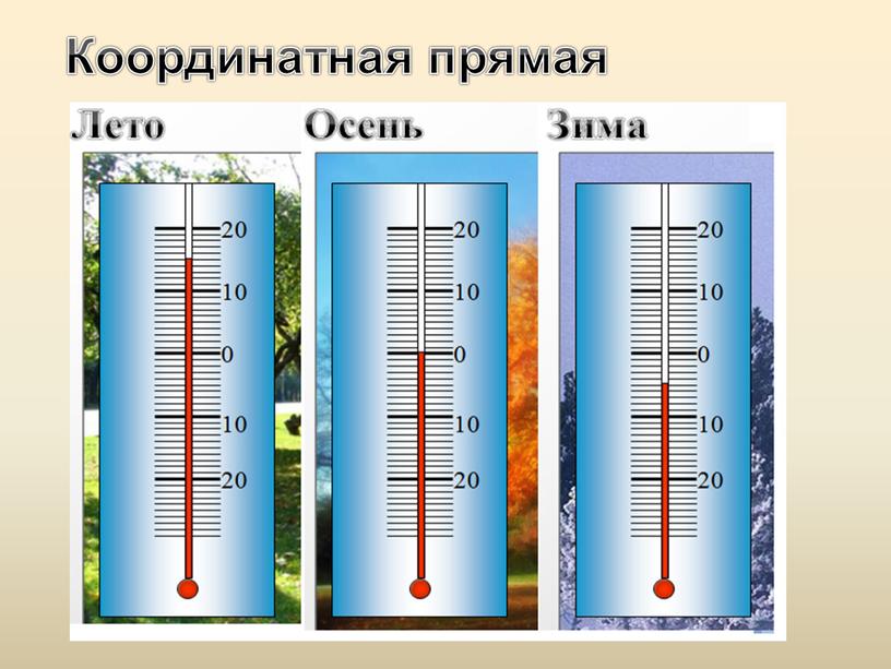 Координатная прямая