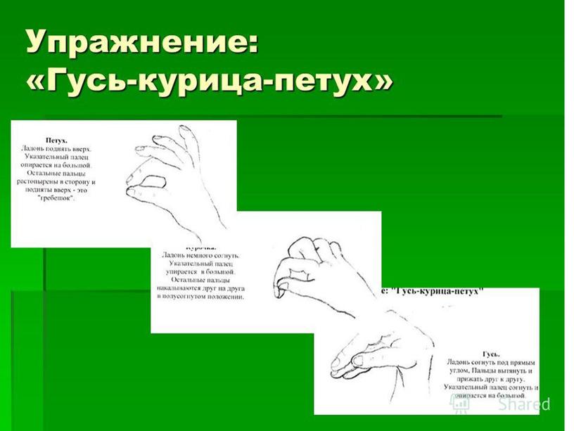 "Межполушарное взаимодействие- основа  развития интеллекта"