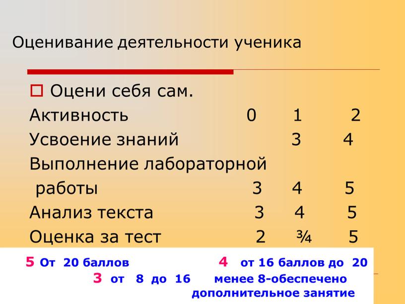Оценивание деятельности ученика