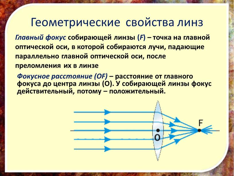 Геометрические свойства линз Главный фокус собирающей линзы (