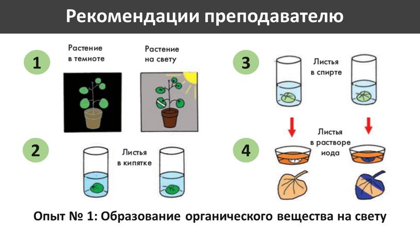 Рекомендации преподавателю 1 2 3 4