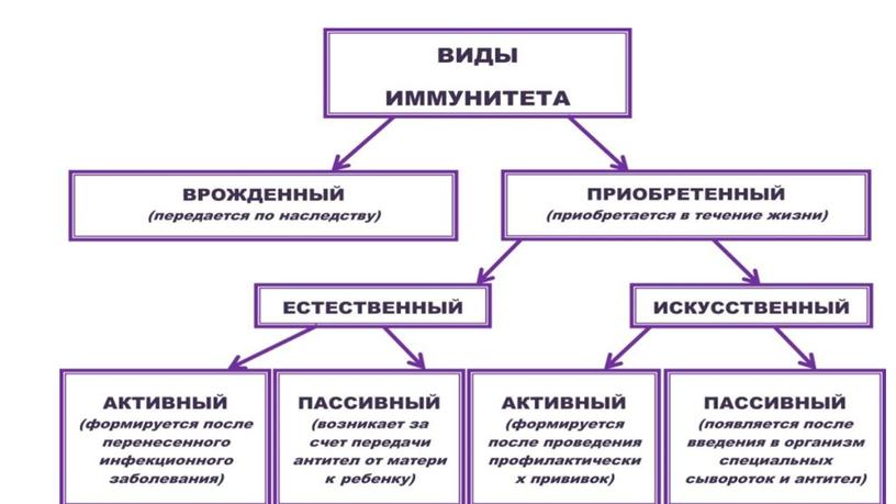 Презентация к уроку биологии в 8 классе по теме "Иммунитет"