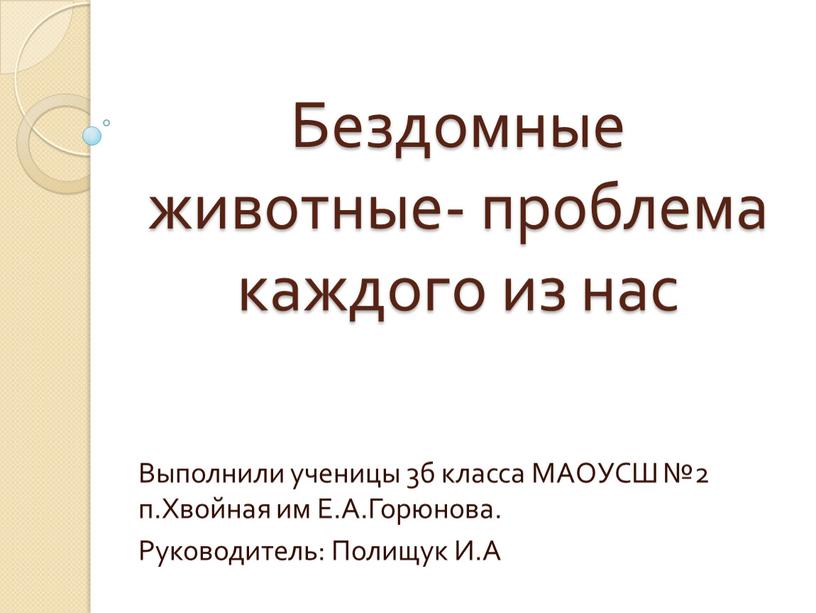 Бездомные животные- проблема каждого из нас