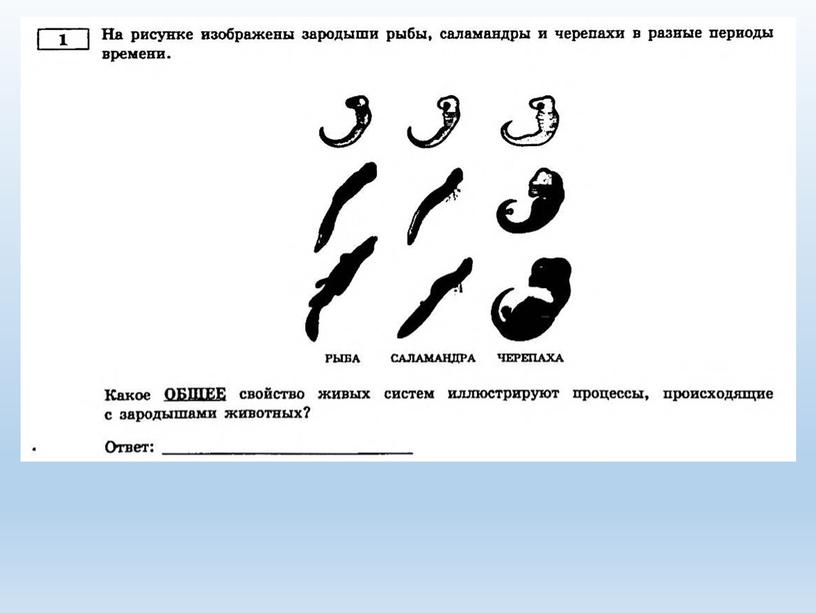 Разбор заданий №1 ОГЭ биология из сборника В.С.Рохлова