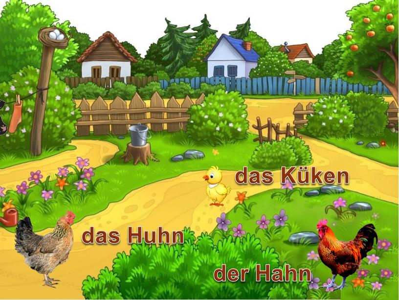 der Hahn das Huhn das Küken