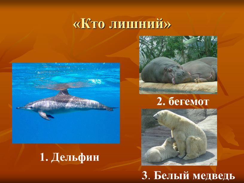 Кто лишний» 1. Дельфин 2. бегемот 3