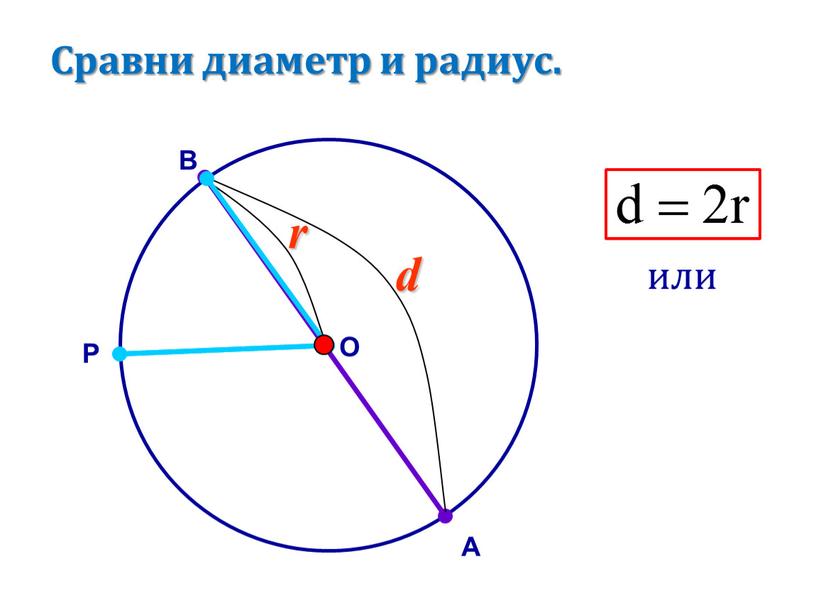 Сравни диаметр и радиус. В А P