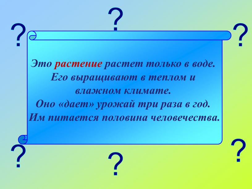 Это растение растет только в воде