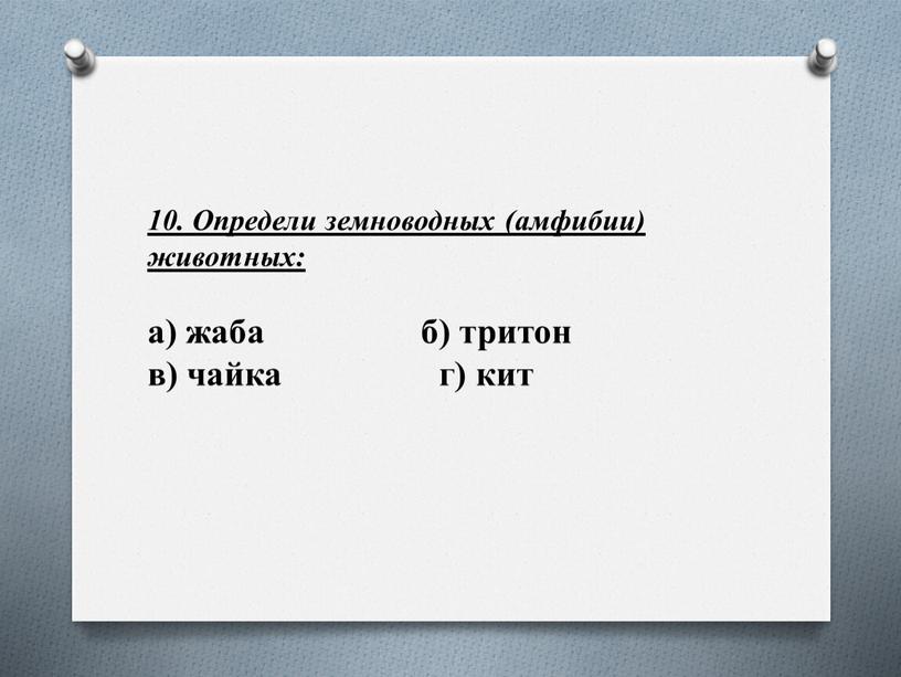 Определи земноводных (амфибии) животных: а) жаба б) тритон в) чайка г) кит