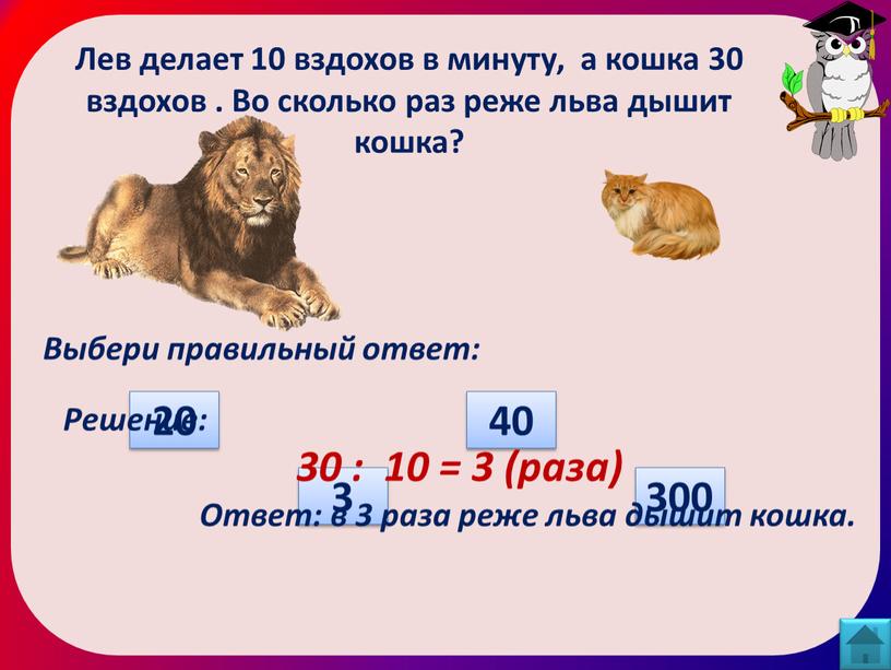 Лев делает 10 вздохов в минуту, а кошка 30 вздохов