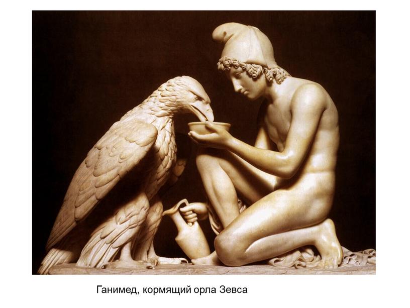 Ганимед, кормящий орла Зевса