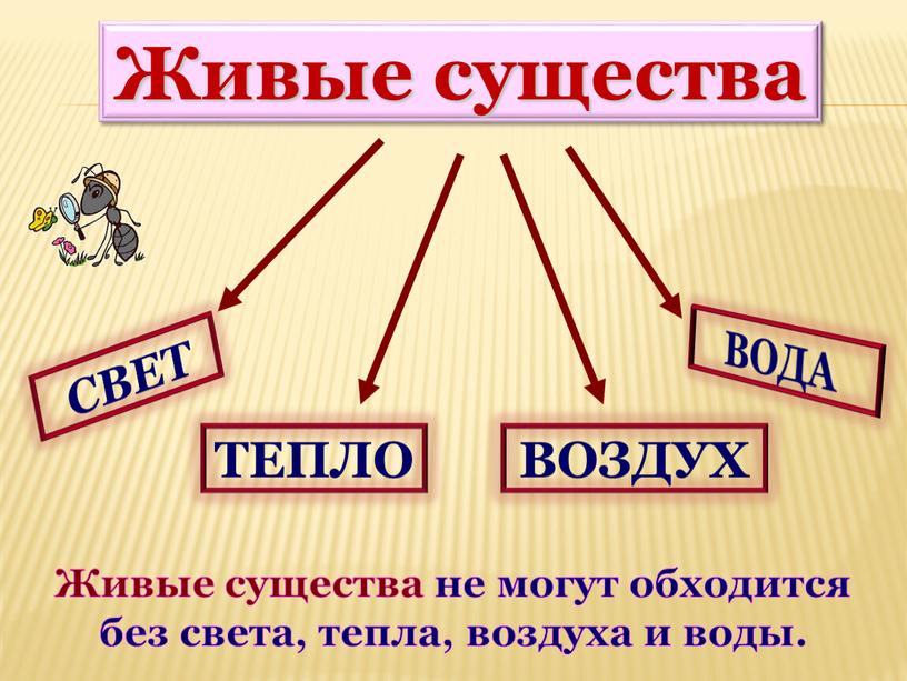 СВЕТ ТЕПЛО ВОДА ВОЗДУХ Живые существа не могут обходится без света, тепла, воздуха и воды