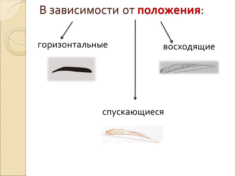 В зависимости от положения : восходящие горизонтальные спускающиеся