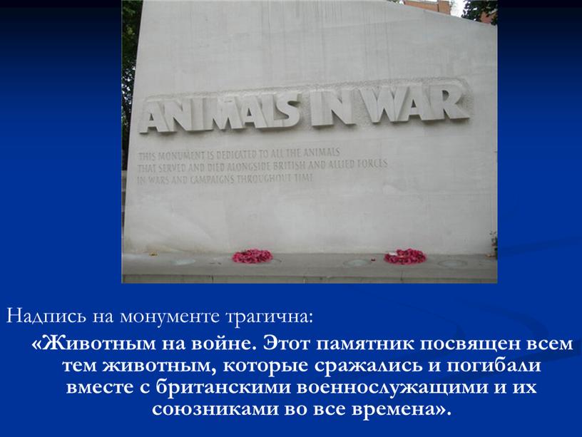 Надпись на монументе трагична: «Животным на войне