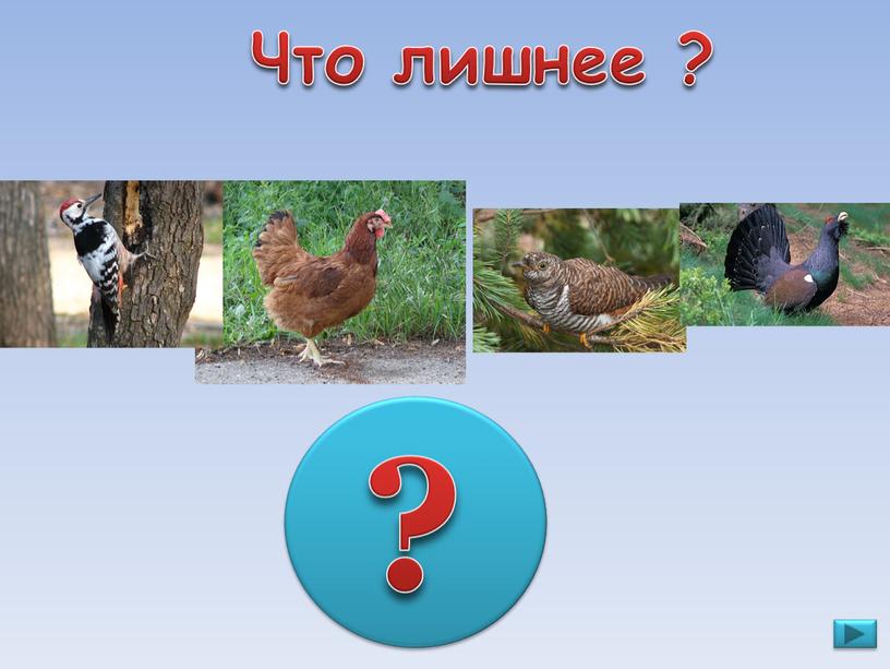 Что лишнее ? ?